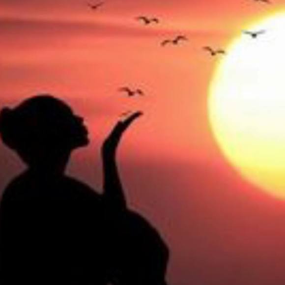 Meet your Posher, Hanna - Picture 1 of 1